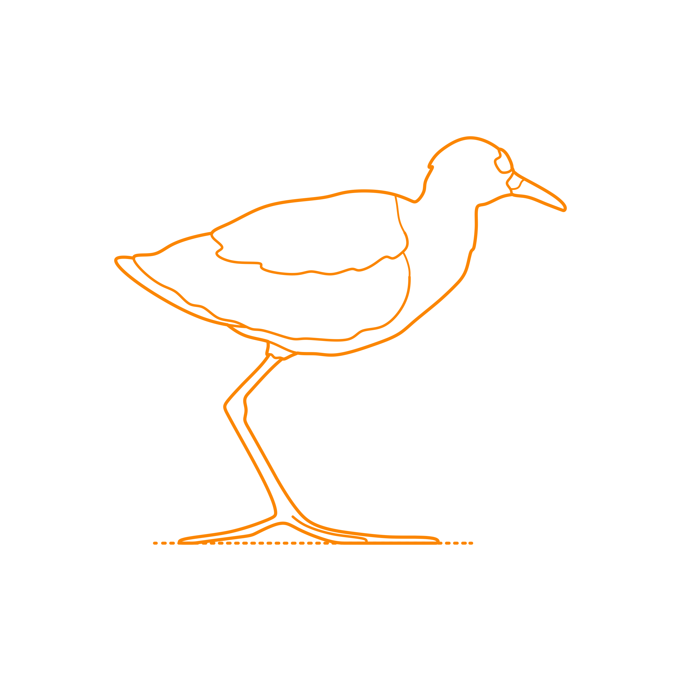 Animals Shorebirds Northern Jacana Outline Drawing Svg Vector Free Vectors